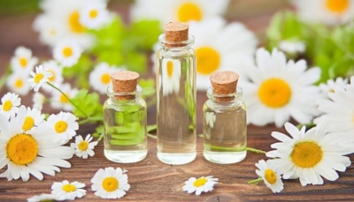 اسانس بابونه