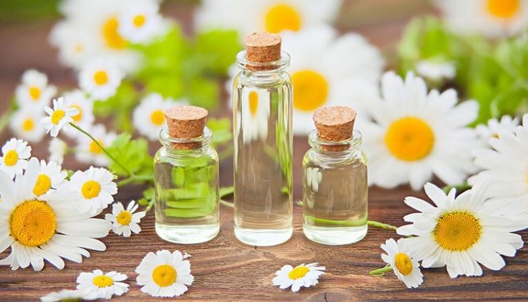 اسانس بابونه