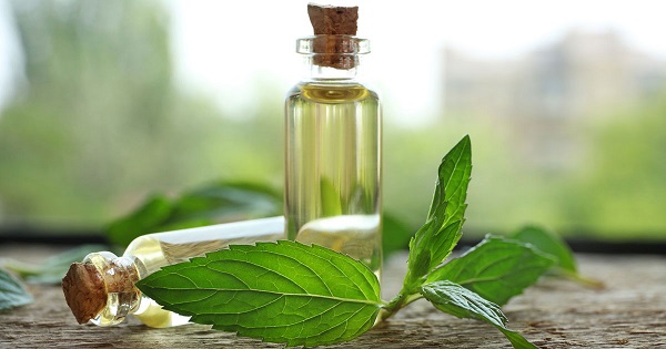 اسانس‌ گیری هل طبیعی