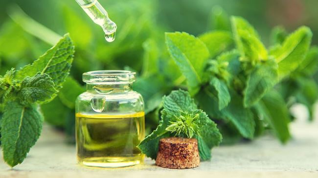 اسانس نعناع بهداشتی