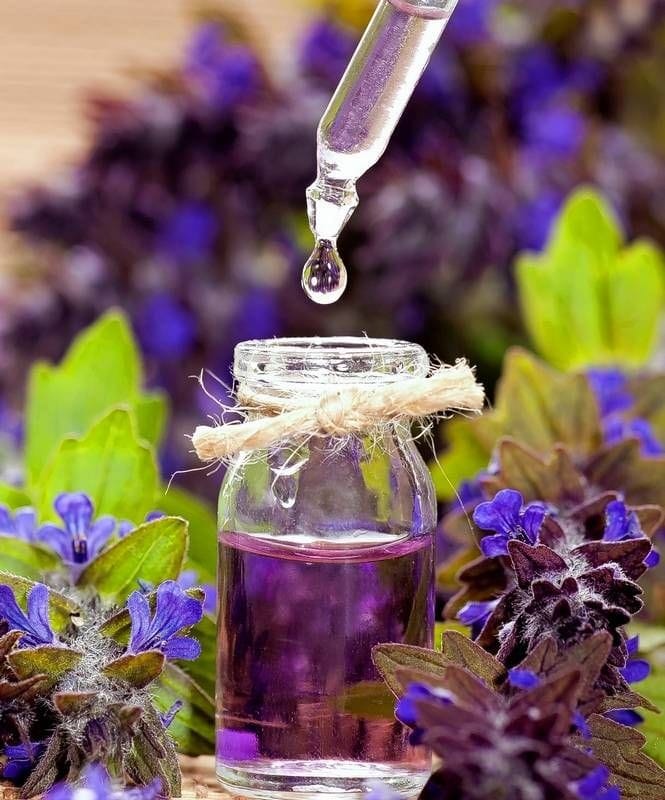 ۹ ترکیب کلیدی اسانس اسطوخودوس و کاربردهای آن در سلامتی