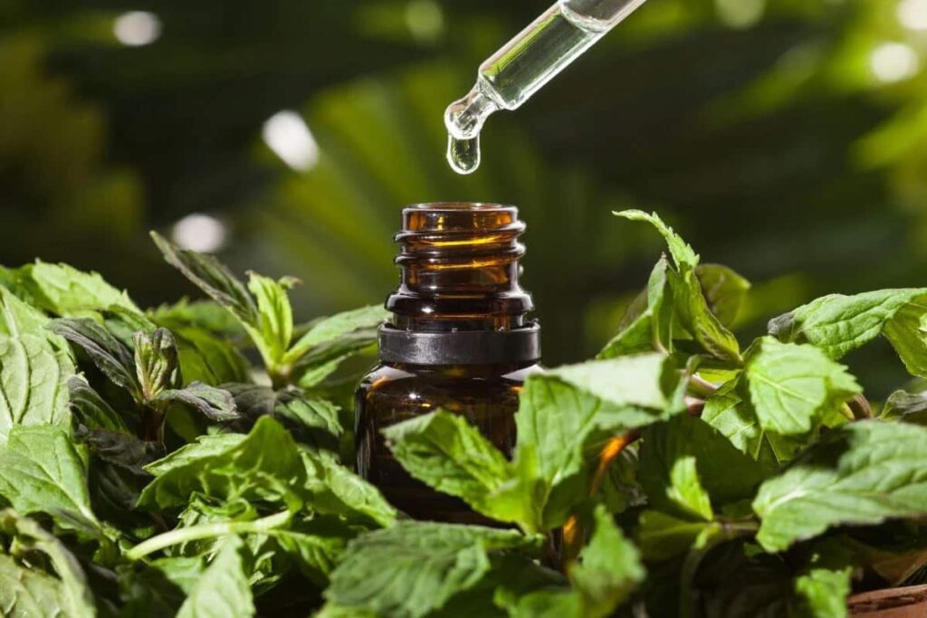 خواص اسانس نعنا