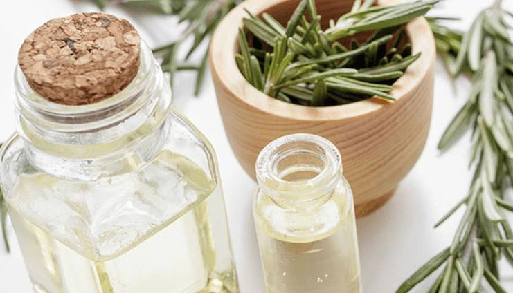 ۹ ترکیب فعال اسانس رزماری و کاربردهای آن در سلامتی