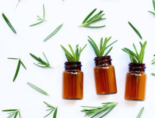 کاربردهای سلامتی رزماری