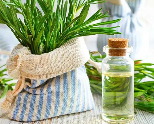 خواص درمانی اسانس رزماری برای پوست و مو