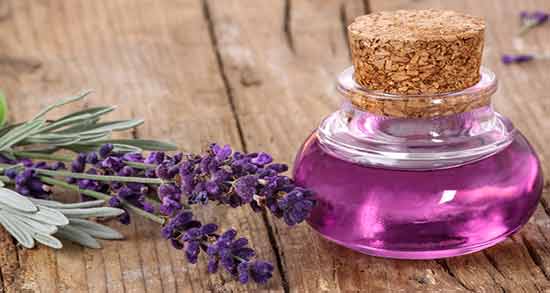 اسطوخودوس و بابونه