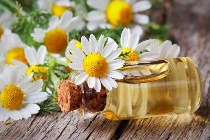 اسانس بابونه