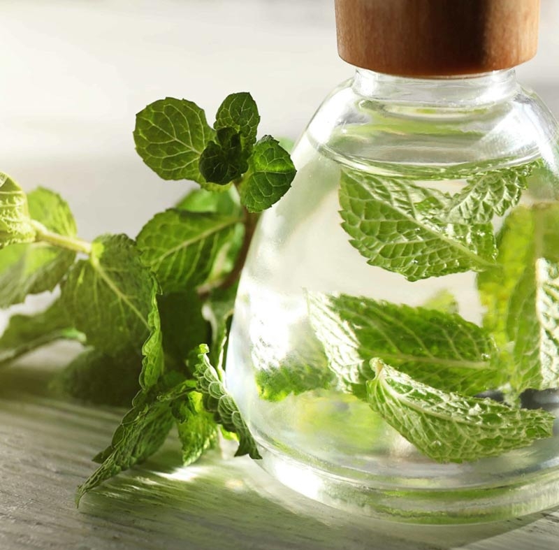 اسانس نعنا در محصولات آرایشی