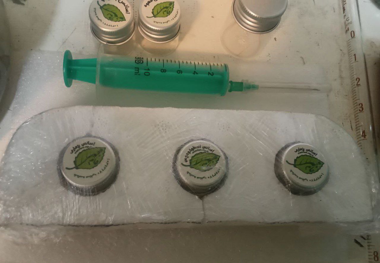 سفارشات ارسالی