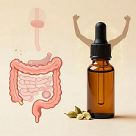 خواص اسانس هل در طب سنتی| از هضم غذا تا تقویت انرژی