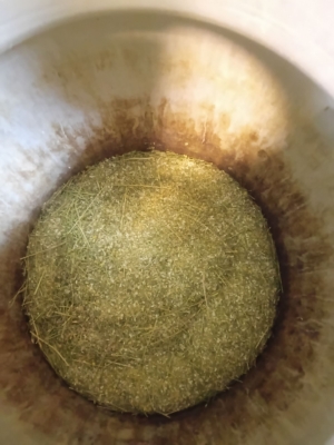 عصاره خالص بابونه آلمانی اصل