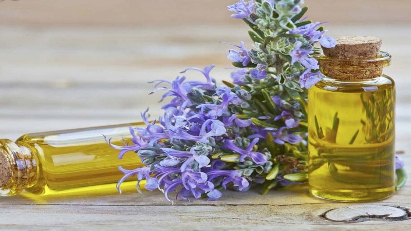 چک لیست مدارک لازم برای خرید اسانس رزماری