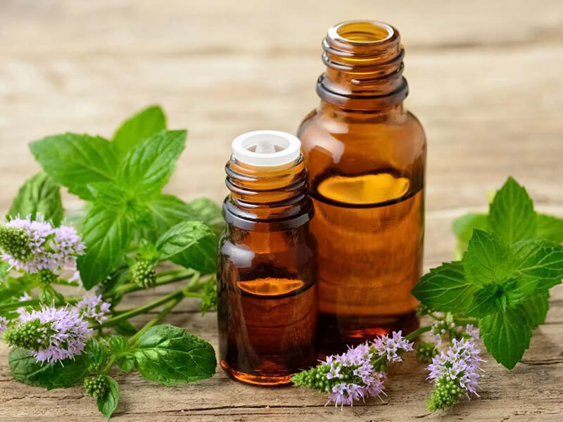 چک لیست عملی پذیرش و نگهداری اسانس های گیاهی در خطوط تولید آرایشی