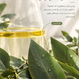 اسانس اکالیپتوس خالص